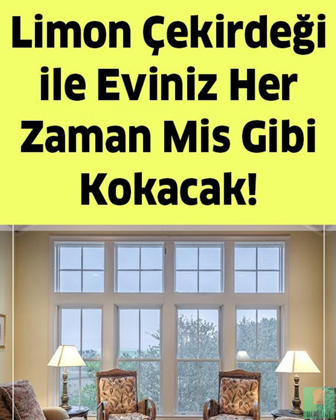 Limon Çekirdeği ile Konutunuz Her Zaman Mis Gibi Kokacak - 1