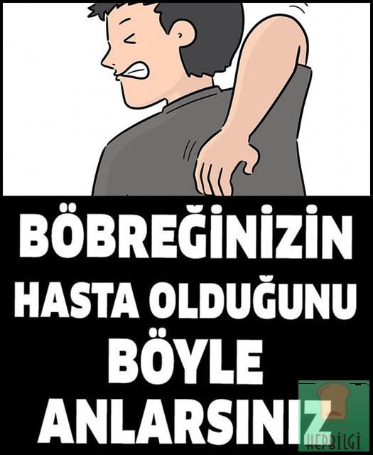 Böbreklerinizin Hasta Olduğunu Gösteren İşaretler - 1
