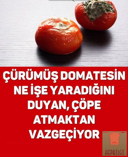 ÇÖPE ATMAKTAN VAZGEÇİYOR - 1