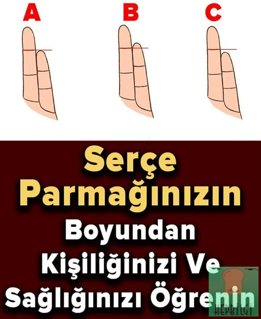Serçe Parmağınızın Boyundan Kişiliğinizi ve Sağlığınızı Öğrenin - 1