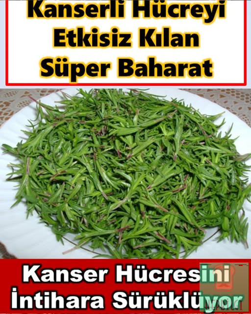 Hücreyi etkisiz kılan mucize baharat - 1