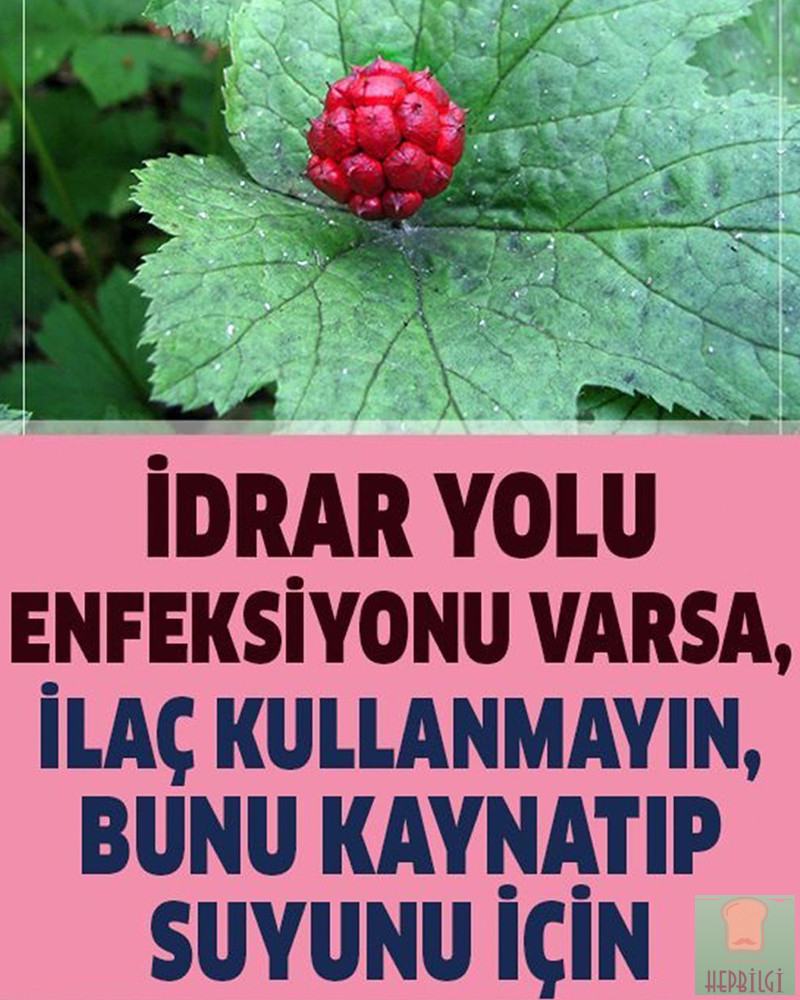 İdrar Yolu Enfeksiyonuna Konutta Natürel Çözüm, Kaynatıp Suyunu İçin - 1