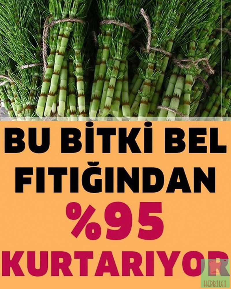 Tamamen Doğal Ürünlerle Bel Fıtığından Kurtulun - 1