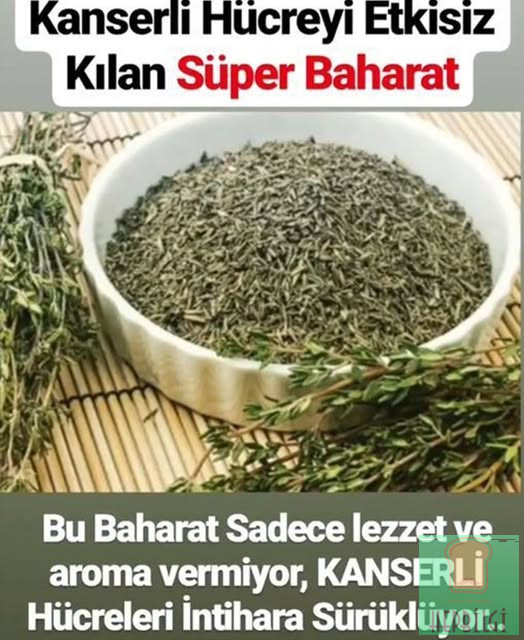 Kanserli hücreyi in.tihara sürükleyen süper baharat - 1
