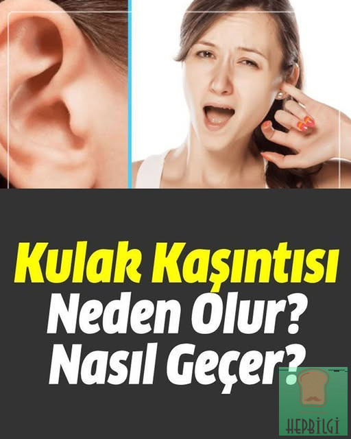 Kulak Kaşıntısı Neden Olur Nasıl Geçer - 1