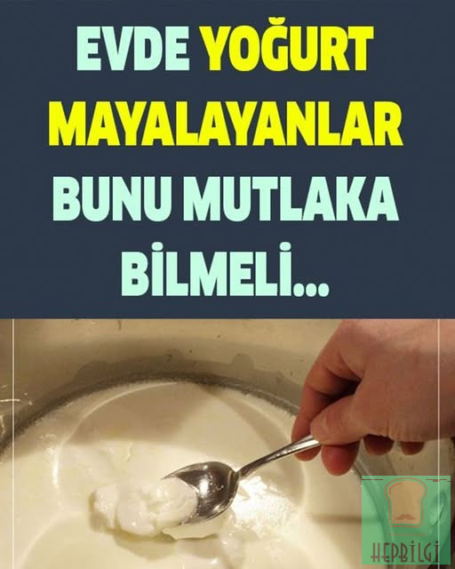 Evde Yoğurt Mayalayanlar Bunu Bilmeli - 1
