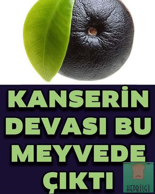 Kanserli Hücrelere Saldırıp Yok Ediyor - 1