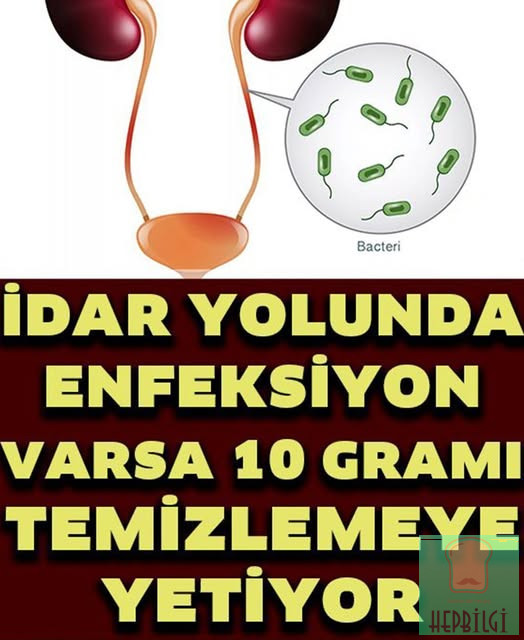 İdrar Yolu Enfeksiyonunu Geçiren 7 Doğal Yöntem - 1
