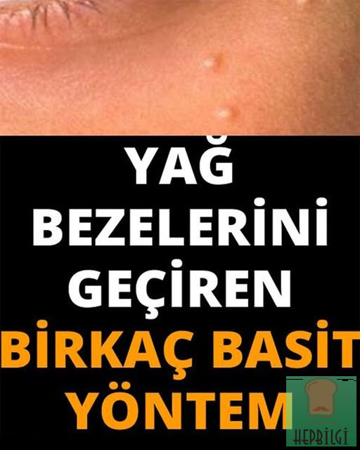Yağ Bezelerini Geçirmenin En Etkili Yolları - 1