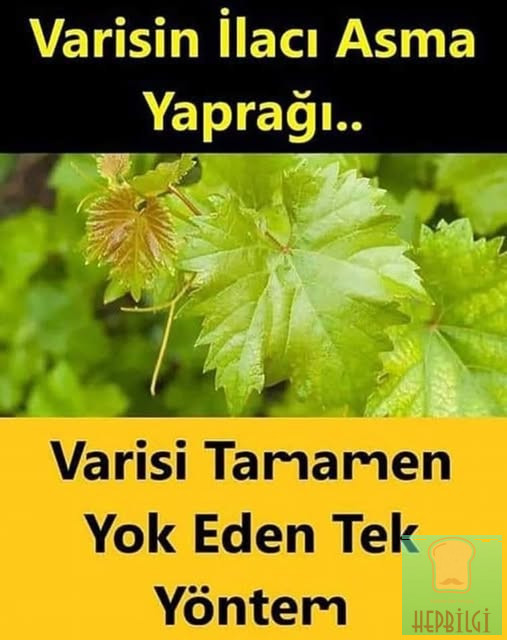 Varisleri tamamen yok eden pratik yöntem - 2