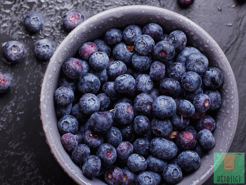 Kanserli Hücrelere Saldırıp Yok Ediyor - 2