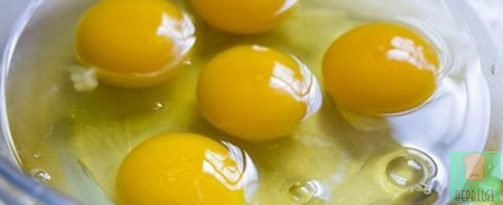 Alzheimer Hastası Olmamak İçin 9 Alışkanlığı Hemen Terkedin - 2