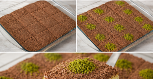 Soğuk Baklava Tadında Borcam Tatlısı