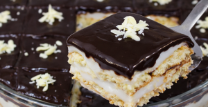 BORCAMDA ZAHMETSİZ PASTA TARİFİ