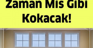 Limon Çekirdeği ile Konutunuz Her Zaman Mis Gibi Kokacak