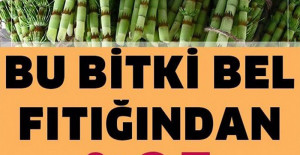 Tamamen Doğal Ürünlerle Bel Fıtığından Kurtulun	