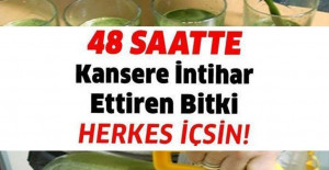 48 Saatte Kanseri Yok Eden İçecekle Tanışın	