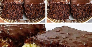 Borcamda Aile Boyu Çikolata Kaplı Mozaik Kek 