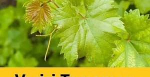 Varisleri tamamen yok eden pratik yöntem