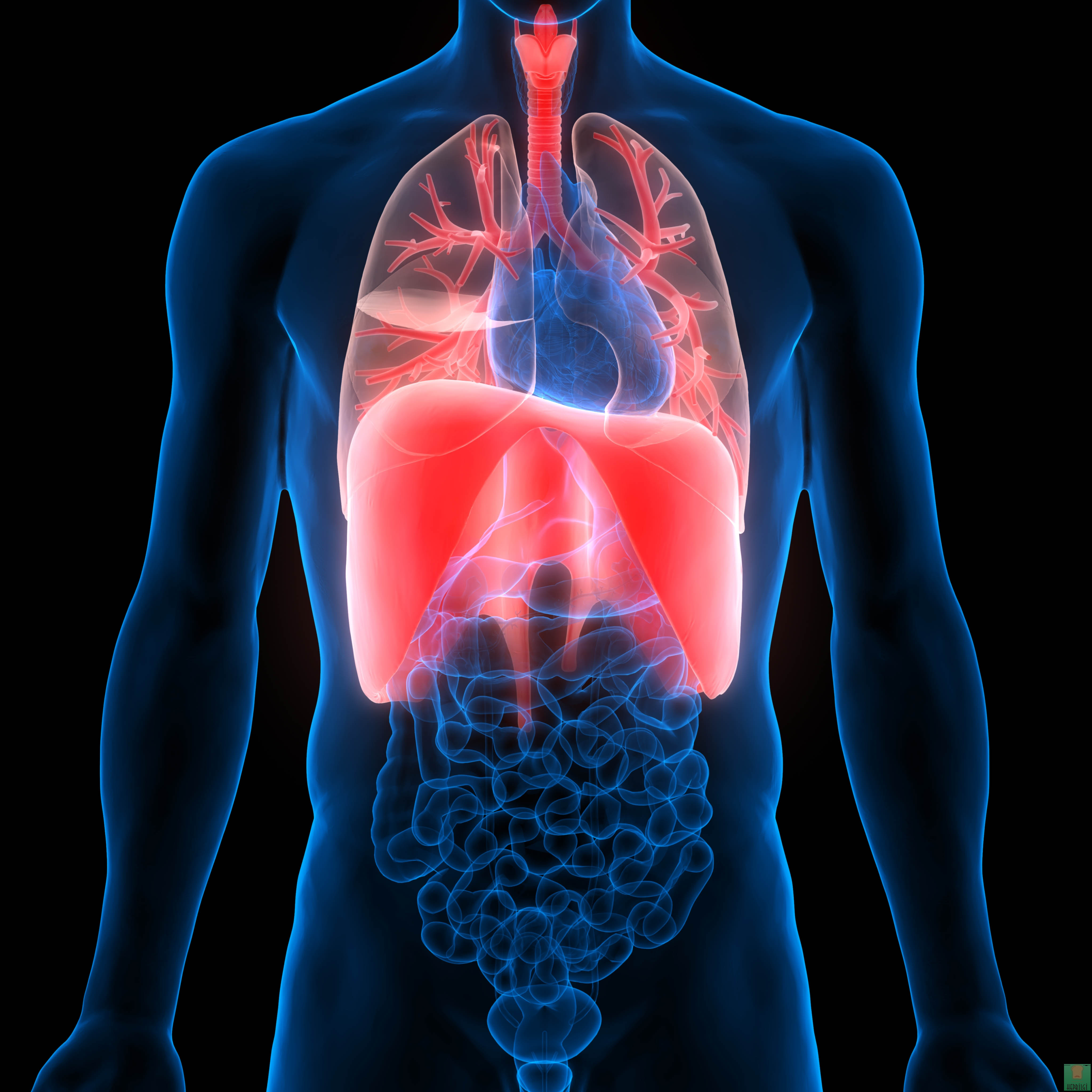 Bedeniniz D Vitamini Yetersizliğiniz Olduğunu Bu 13 İşaretle Gösteriyor - 4