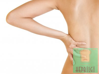 Kadınlarda Bel Ağrısının Nedenleri - 2