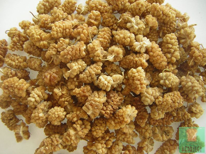 Egzamadan Kurtaran En İyi Doğal Tedavi - 2