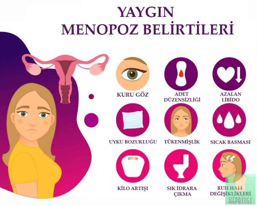 MEN0POZ VE HORMONAL BOZUKLUKLAR - 2