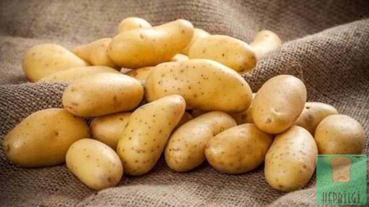 Patates Yoğurt Perhizi İle 3 Günde 4 Kilo Verin - 3