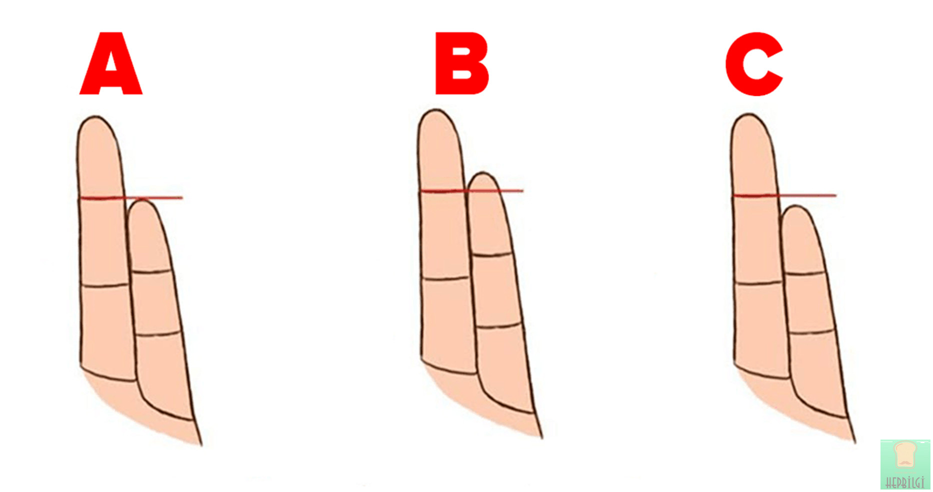 Serçe Parmağınızın Boyundan Kişiliğinizi ve Sağlığınızı Öğrenin - 2