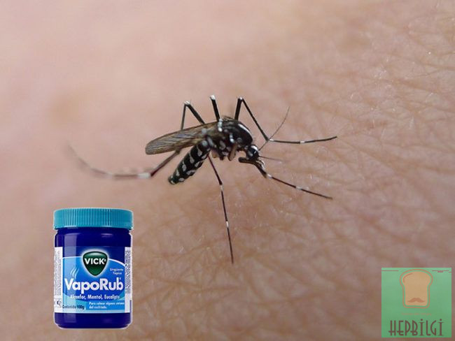 Vicks Nasıl ve Nerede Kullanılır - 2