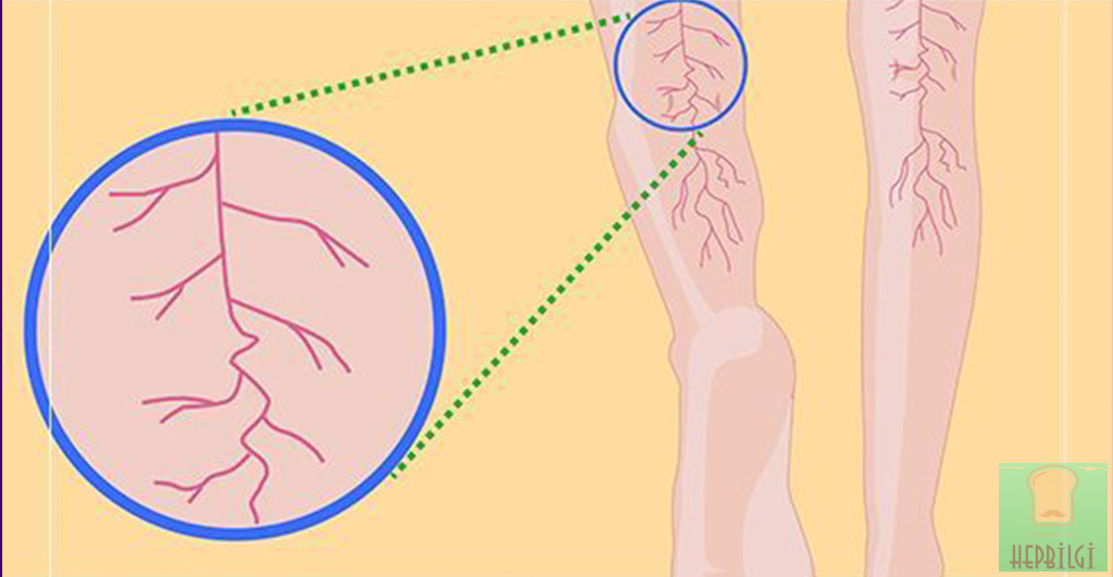 Vücudunuzda Magnezyum Eksikliğinin 13 Belirtisi - 2